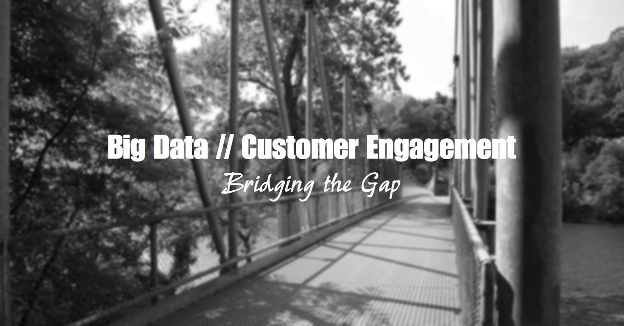 The Big Data & Customer Engagement Divide